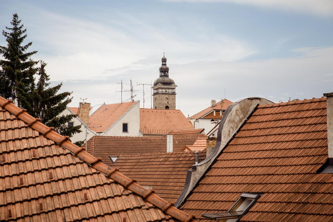 Apartmany Zadni Mlyn Czeskie Budziejowice Zewnętrze zdjęcie